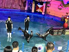 -烟台海昌鲸鲨海洋公园