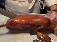 -秀儿四九城·新京菜(亚运村鸟巢店)