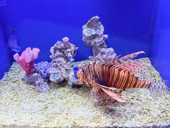 -石家庄极地海洋世界