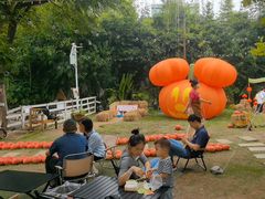 -HERRE·FARM 赫尔露营农场·团建聚会包场