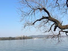 -浙江西子宾馆·瑶园咖啡厅