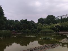 -洛阳市牡丹公园