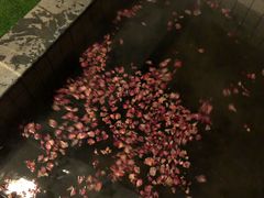 -国御温泉度假小镇