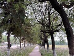 -汉长安城未央宫国家考古遗址公园