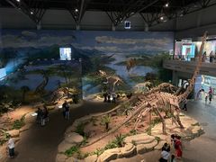 -自贡恐龙博物馆