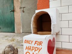 -happy coffee roastery