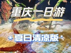-重庆欢乐海底世界