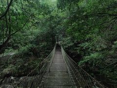 -大鄣山卧龙谷景区