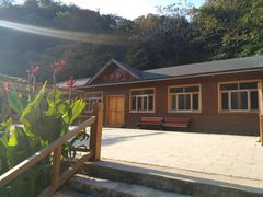 -大岭沟猕猴桃谷风景区