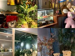 -咖法森林·咖啡  酒吧(天河店)