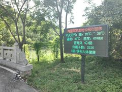 -同里国家湿地公园
