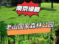 -老山国家森林公园