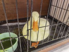 -影萌私人影院(台北院子店)