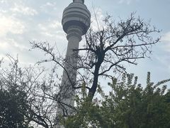 -龟山风景区-龟山电视塔