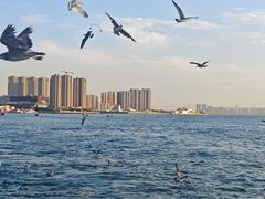 -青岛海滨风景区