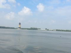 -溱湖国家湿地公园