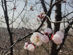 -蟠龙山长城景区