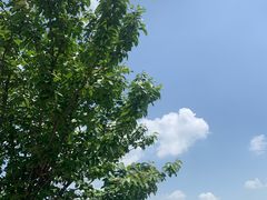 -空港花田景区