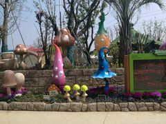 -苏州乐园森林水世界