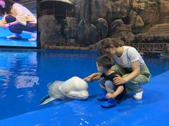 -芜湖新华联大白鲸海洋公园