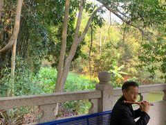 -金山植物公园