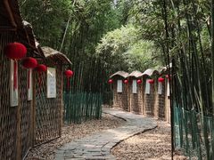-同里国家湿地公园