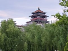 -莲花池公园