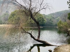-柯岩风景区
