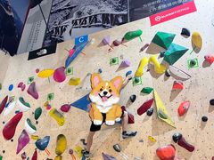 -成都大松果马达攀岩馆(金石店)
