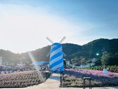 -玫瑰海岸文化旅游度假区