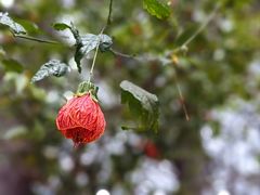 -昆明市金殿名胜区