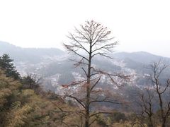 -九华山风景区