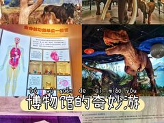 -陕西自然博物馆