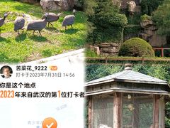 -沈阳鸟岛