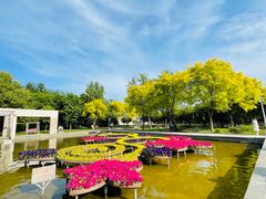 -石家庄市植物园