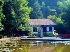 -庐山风景区花径公园