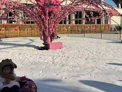 -沈阳奥体冰雪嘉年华