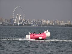 -金鸡湖景区