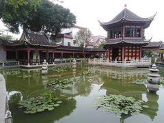 -碧江金楼