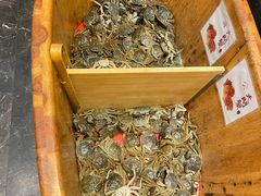 -初色海鲜自助(万丰路店)
