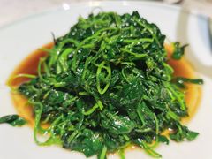 -大城小院饭店(博隆广场虹桥店)