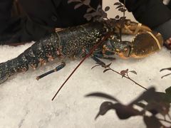 -海味观(老西门店)