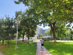 -长沙市青少年宫