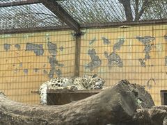 -青藏高原野生动物园