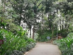 -成都市活水公园