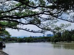 -江心屿景区