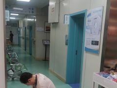 -北京观赏动物医院·24小时大型综合·猫专科·异宠专科