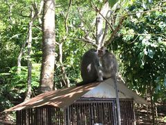 -金巴兰海滩烛光bbq