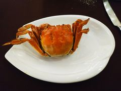 -圆顶阁西餐厅(郑州索菲特国际饭店 )