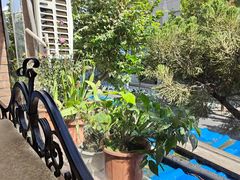 窗外风景-维吾尔餐厅(宜山路店)